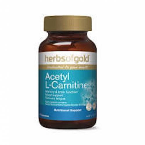 Acetyl L-Carnitine