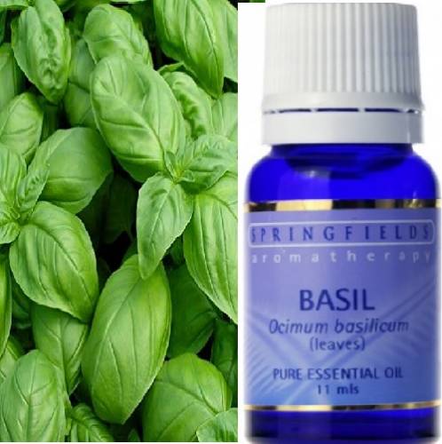 ESSENTIAL OIL BASIL