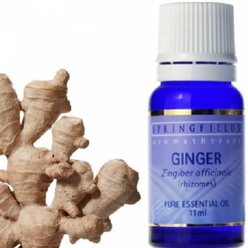 GINGER ESSENTIAL OIL