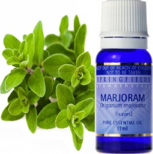 MARJORAM ESSENTIAL OIL