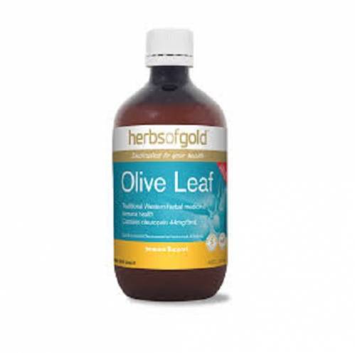 OLIVE LEAF EXTRACT