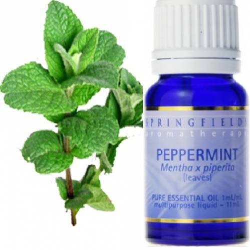 PEPPERMINT ESSENTIAL OIL