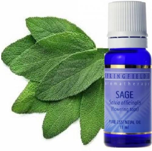 SAGE ESSENTIAL OIL