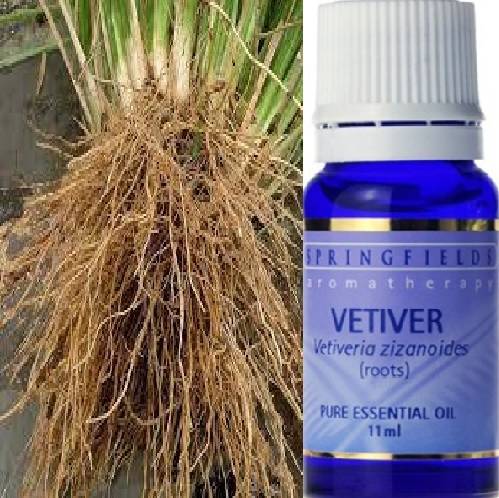 VETIVER ESSENTIAL OIL