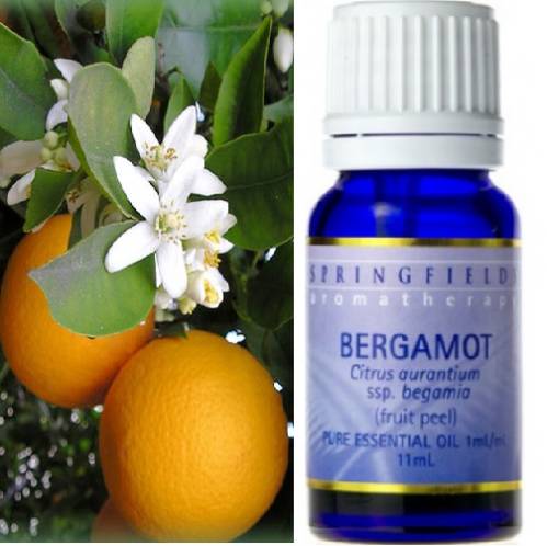 ORGANIC ESSENTIAL OIL BERGAMOT