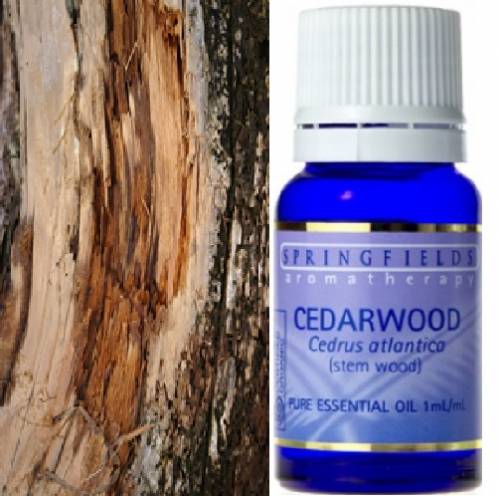 ORGANIC ESSENTIAL OIL CEDARWOOD