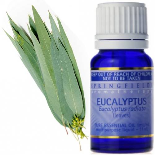 SPRINGFIELDS ESSENTIAL ORGANIC EUCALYPTUS OIL