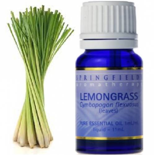 SPRINGFIELDS ESSENTIAL ORGANIC LEMONGRASS OIL