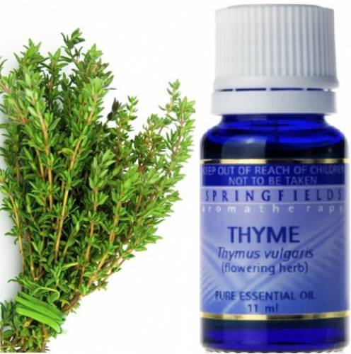 ESSENTIAL OIL THYME