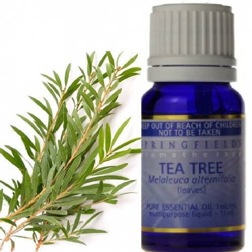 ORGANIC ESSENTIAL OIL TEA-TREE